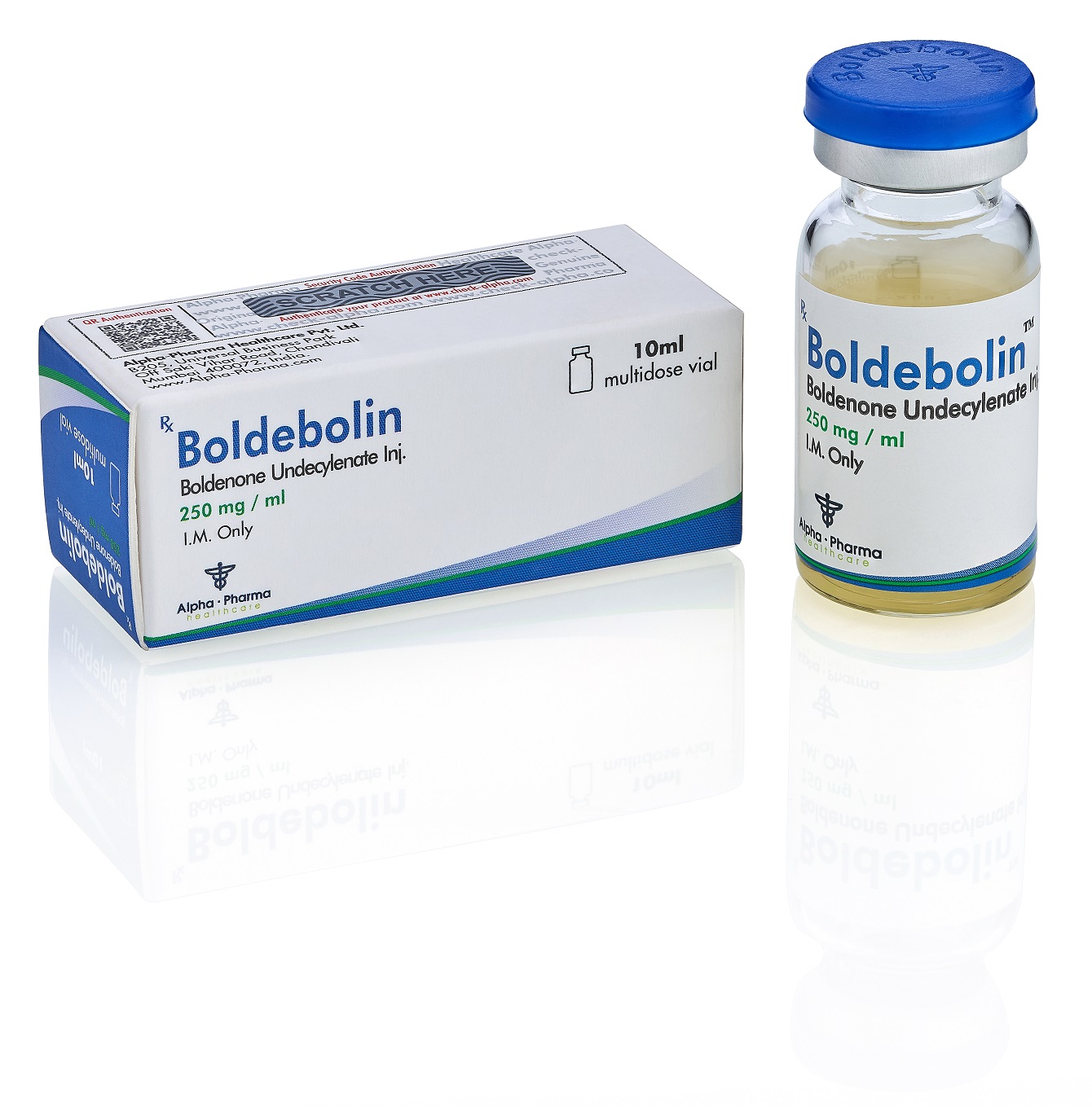 BOLDEBOLIN (BOLDY)